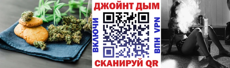 дарнет шоп  Уржум  Cannafood конопля 