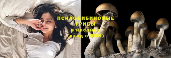 трава Абинск