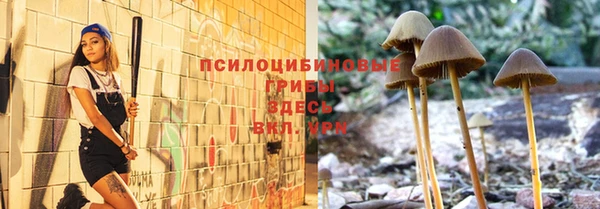 дурь Абаза