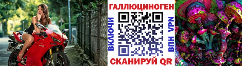 Псилоцибиновые грибы Cubensis  Уржум 